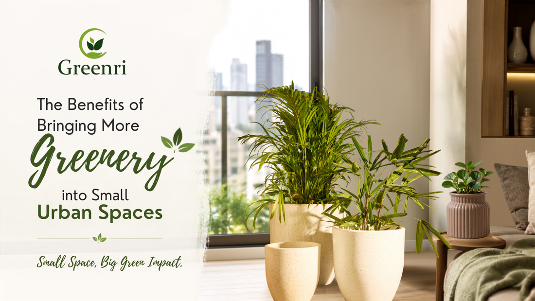 Greenery and planters for small urban spaces