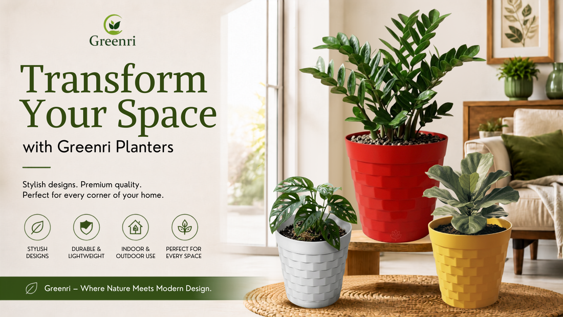 Stylish planters for a modern home by Greenri