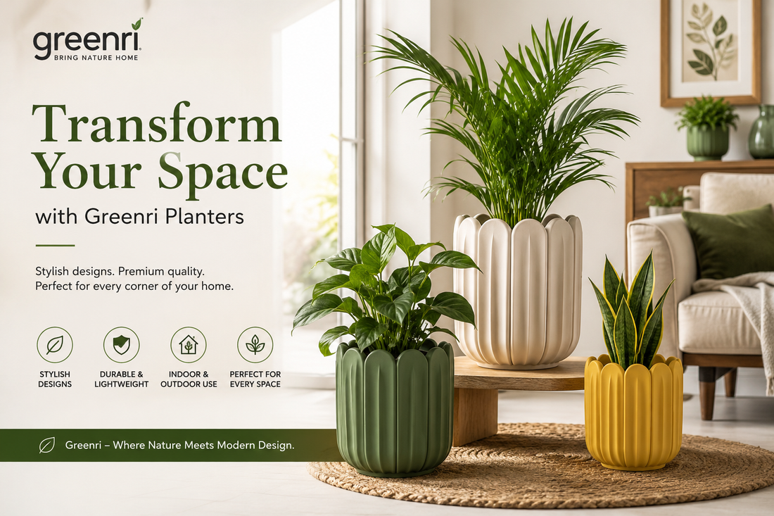 Why Every Modern Home Needs Stylish Planters