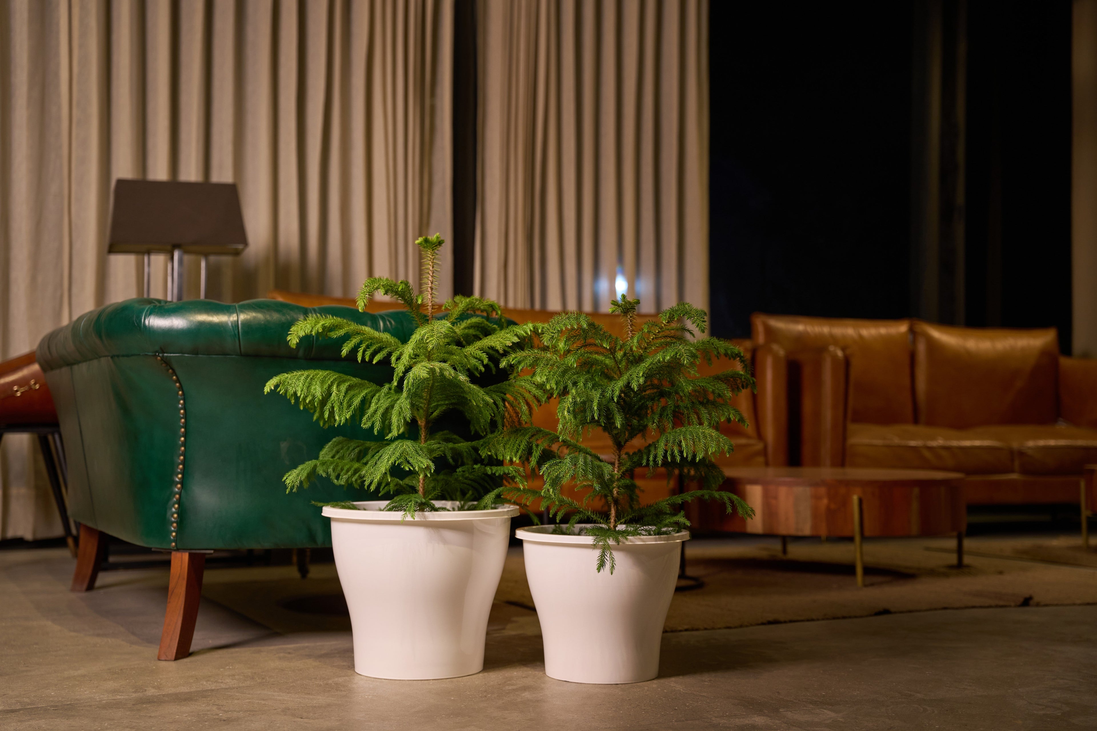 Greenri Simple Fresh planter for office interiors and reception spaces