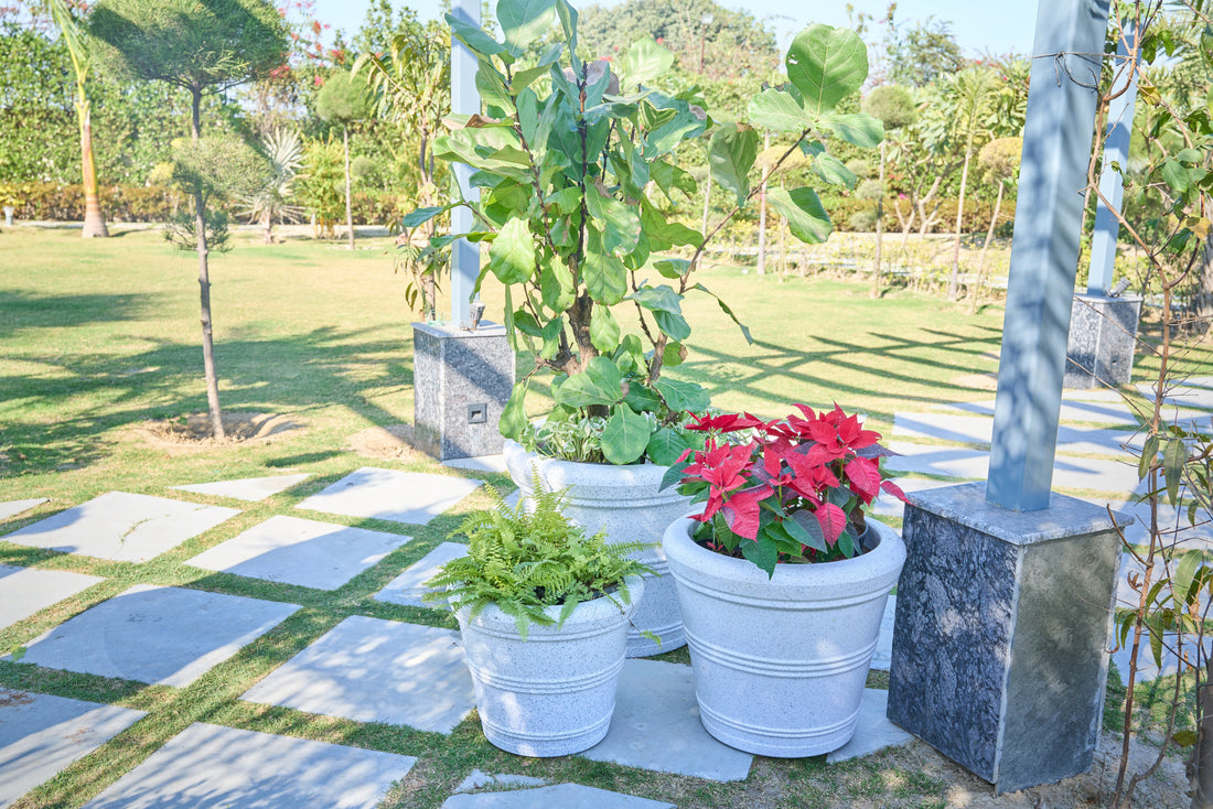Greenri Avenue statement planter for hotels, offices and commercial projects