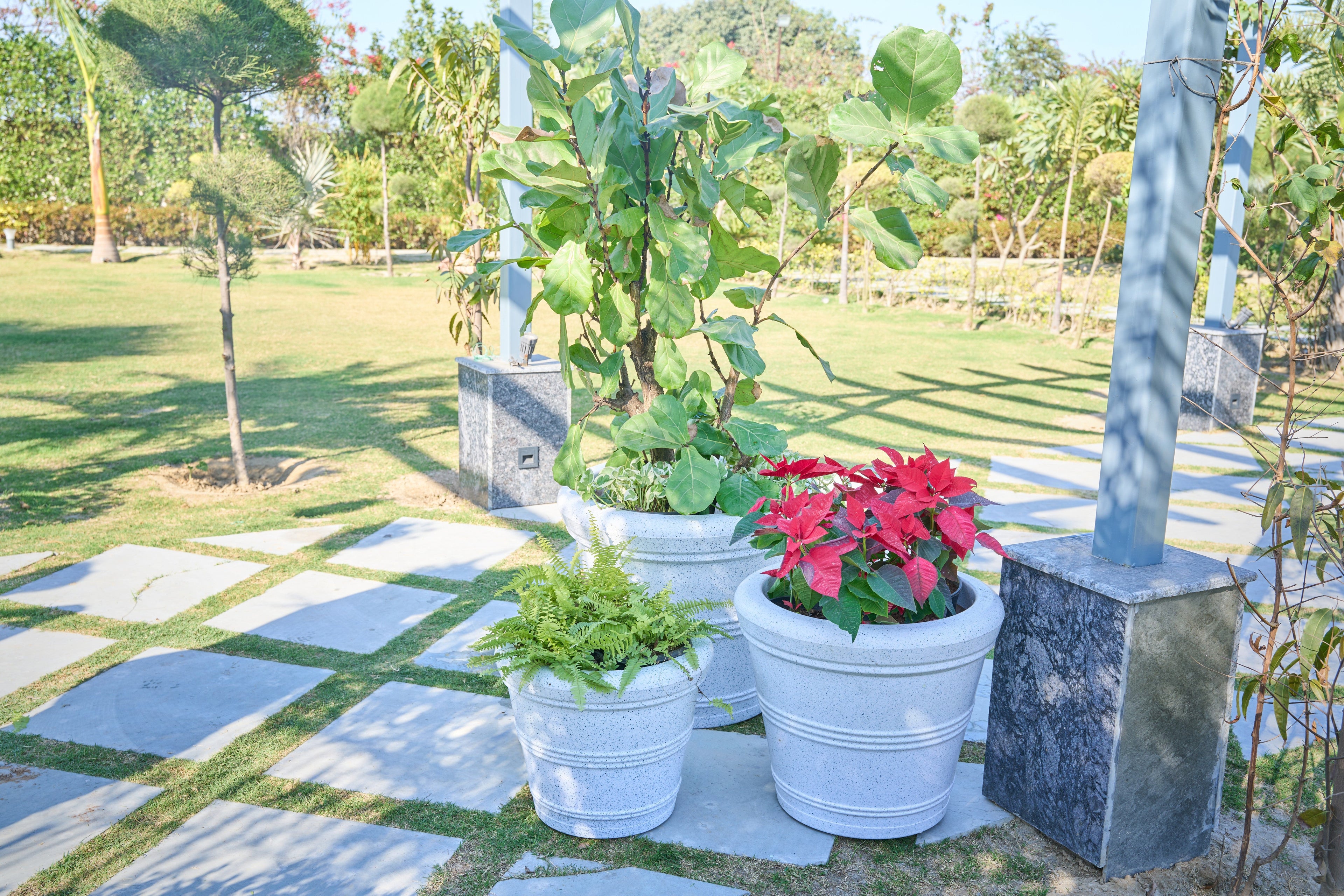 Greenri Avenue statement planter for hotels, offices and commercial projects