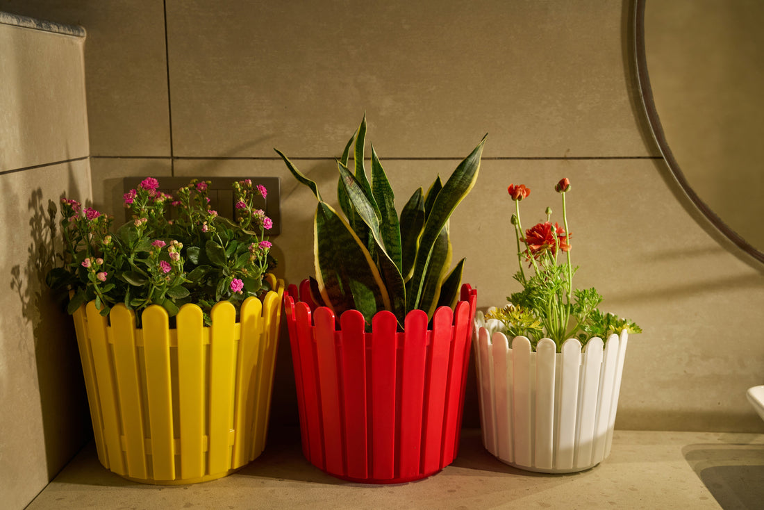 Greenri Fence plastic planter for wholesale nursery and landscaping orders