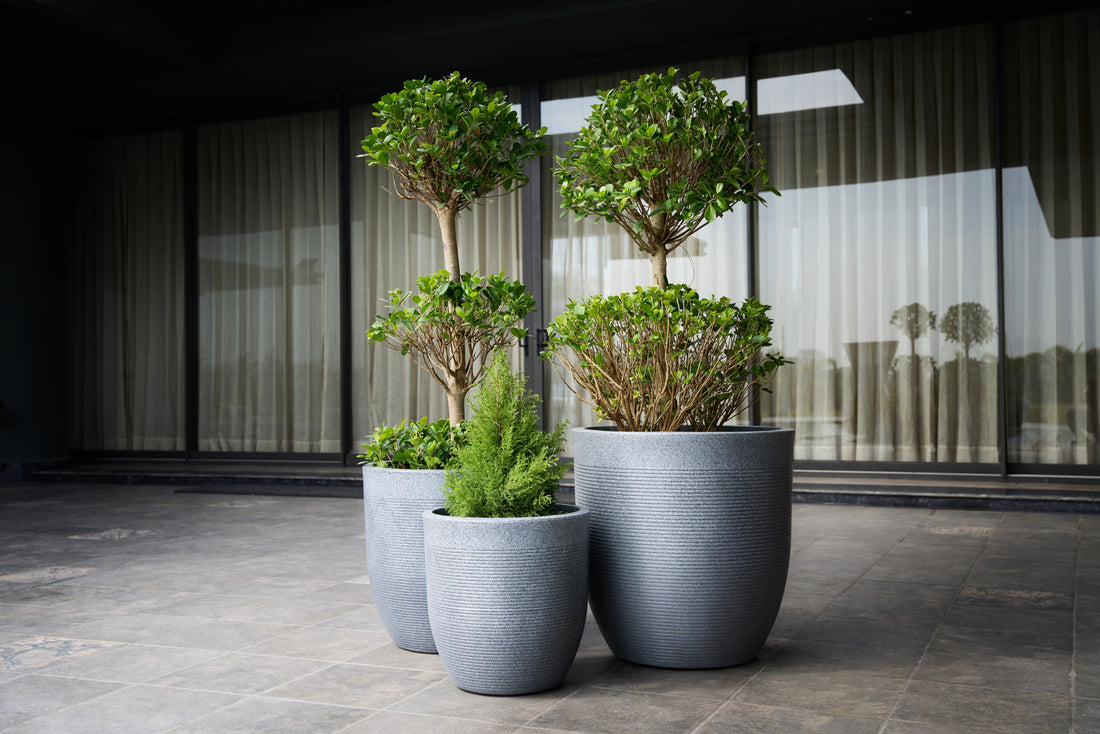 Greenri Vetro planter shown fully for balcony, garden and indoor planter size guide