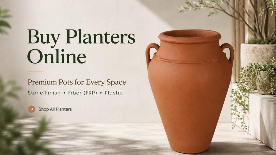 Premium indoor and outdoor planters available online