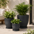 Linear Planter Combo