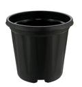 BASICS BLACK