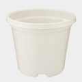 BASICS MILKY