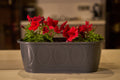 ECO WINDOW BLACK