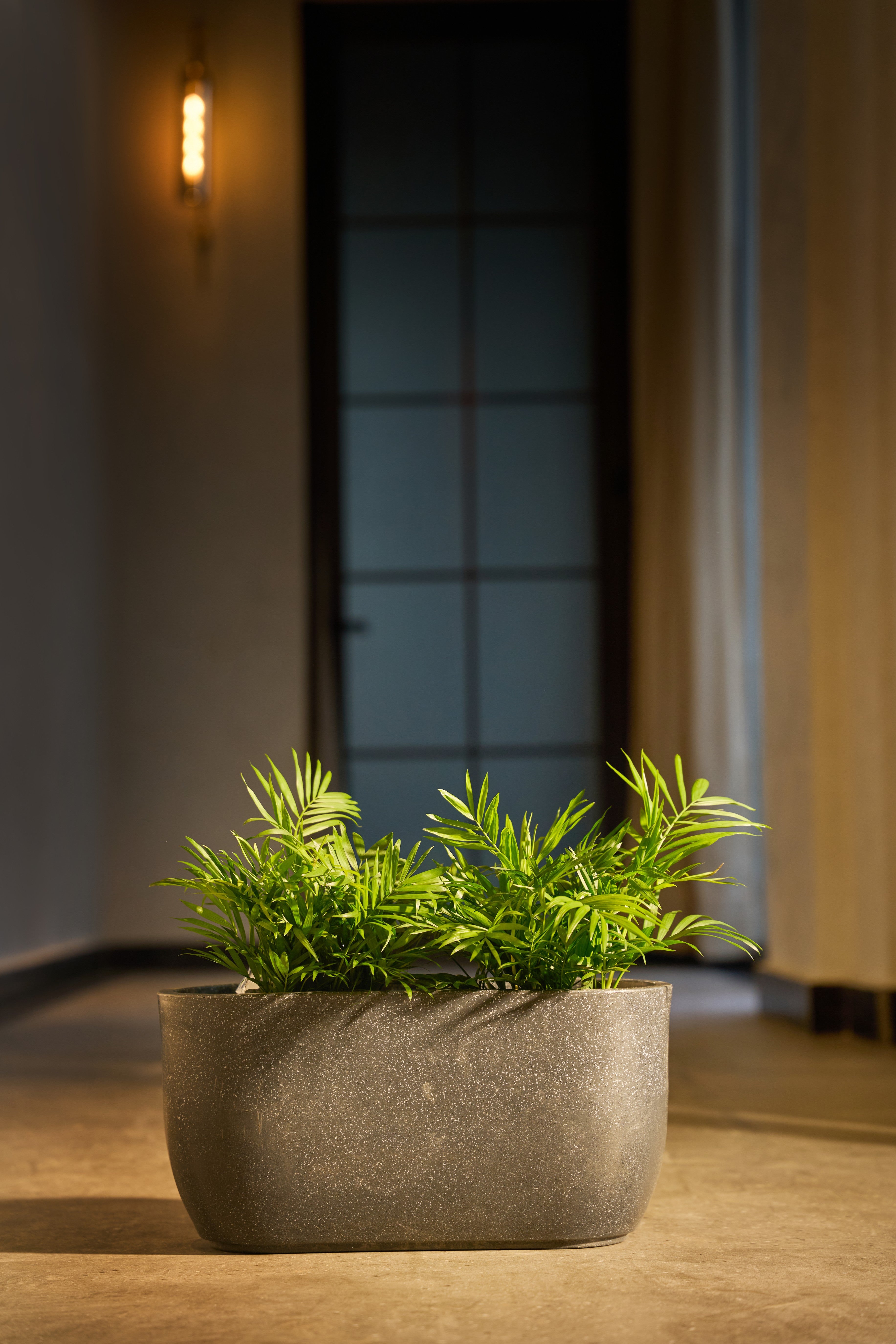 CASA WINDOW