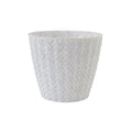 Dollar 7 Planter Pack of 6 reference planter image