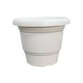 DELUXE FRESH
