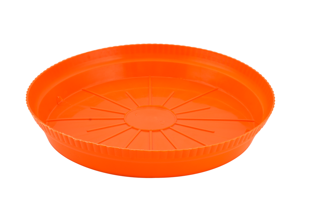 Planter Round Plates FRESH