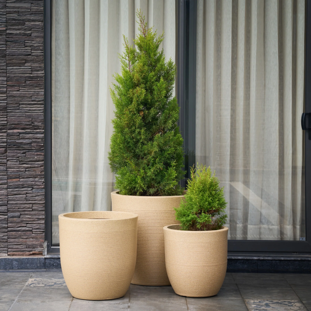 Vetro Planter Combo Set of 3