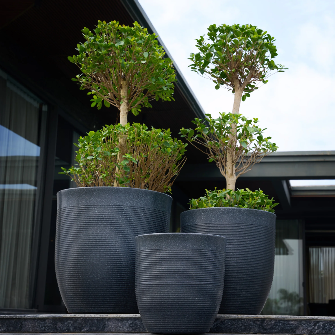 Vetro Planter Combo Set of 3