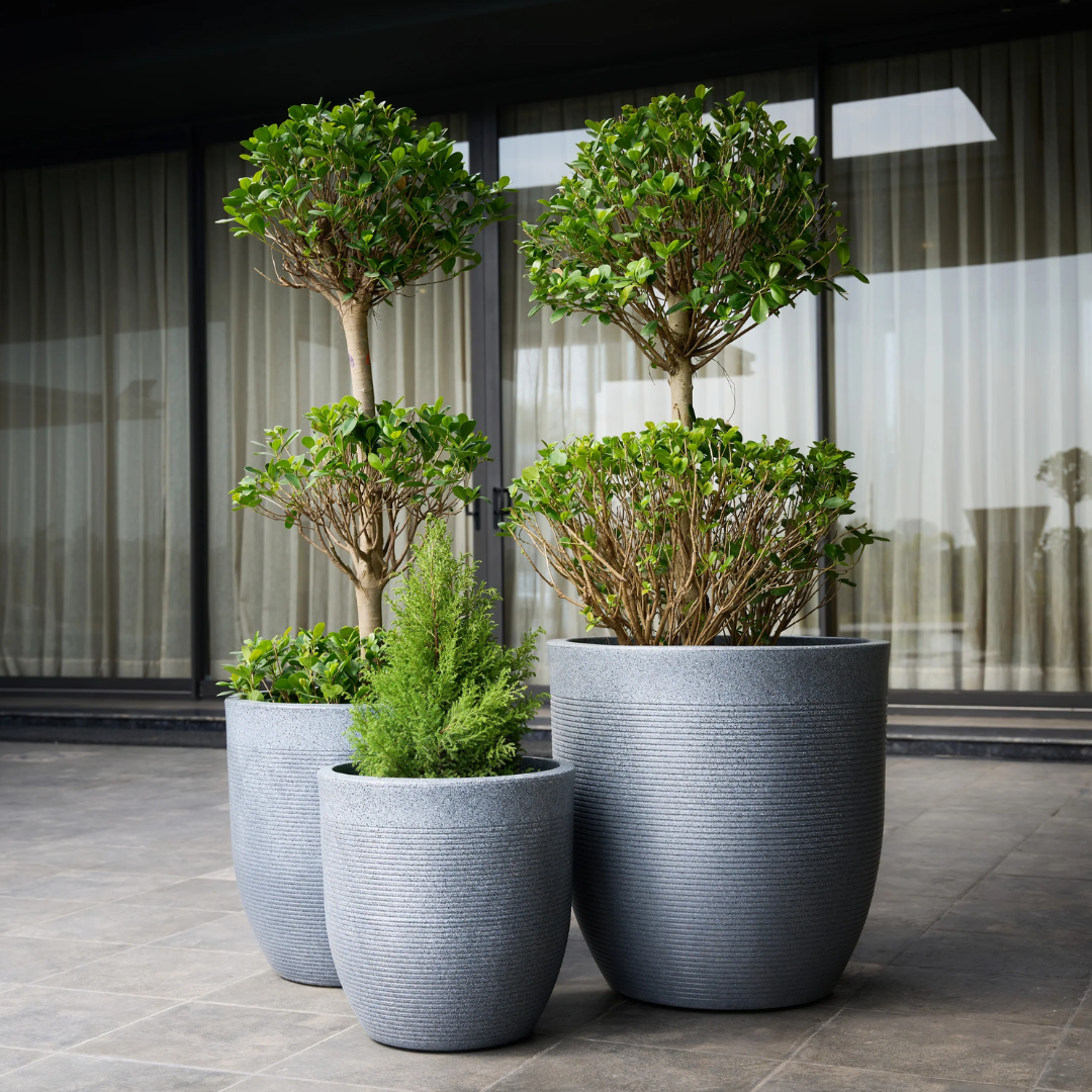 Vetro Planter Combo Set of 3
